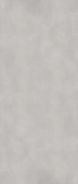 Poetry Net PF60017288 - Ash, Naturale, 120x280cm, 6.00mm, Rectified
