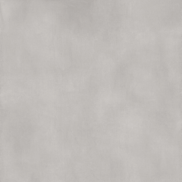 Poetry Net PF60017293 - Ash, Naturale, 120x120cm, 8.50mm, Rectified
