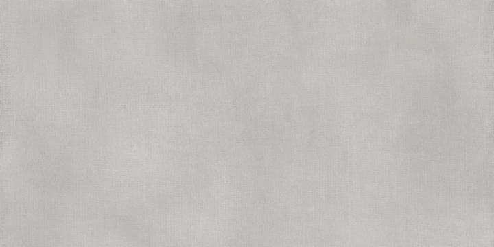 Poetry Net PF60017296 - Ash, Naturale, 60x120cm, 8.50mm, Rectified
