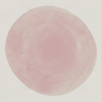 Paola Decoro 3GF1 - Hugo-b, Brillo, 20x20cm, 7.50mm, Rectified