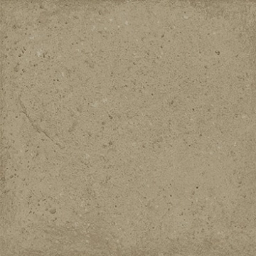 Root Pictus 3419 - Bold, Matt, 13x13cm, 10.00mm, Rectified