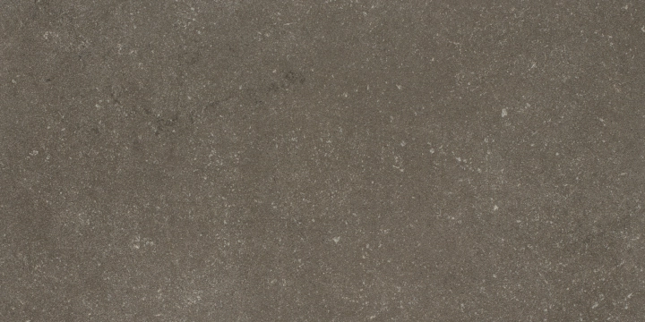 Buxy EG9BU05 - Cendre, Naturale, 50x100cm, 3.50mm, Rectified