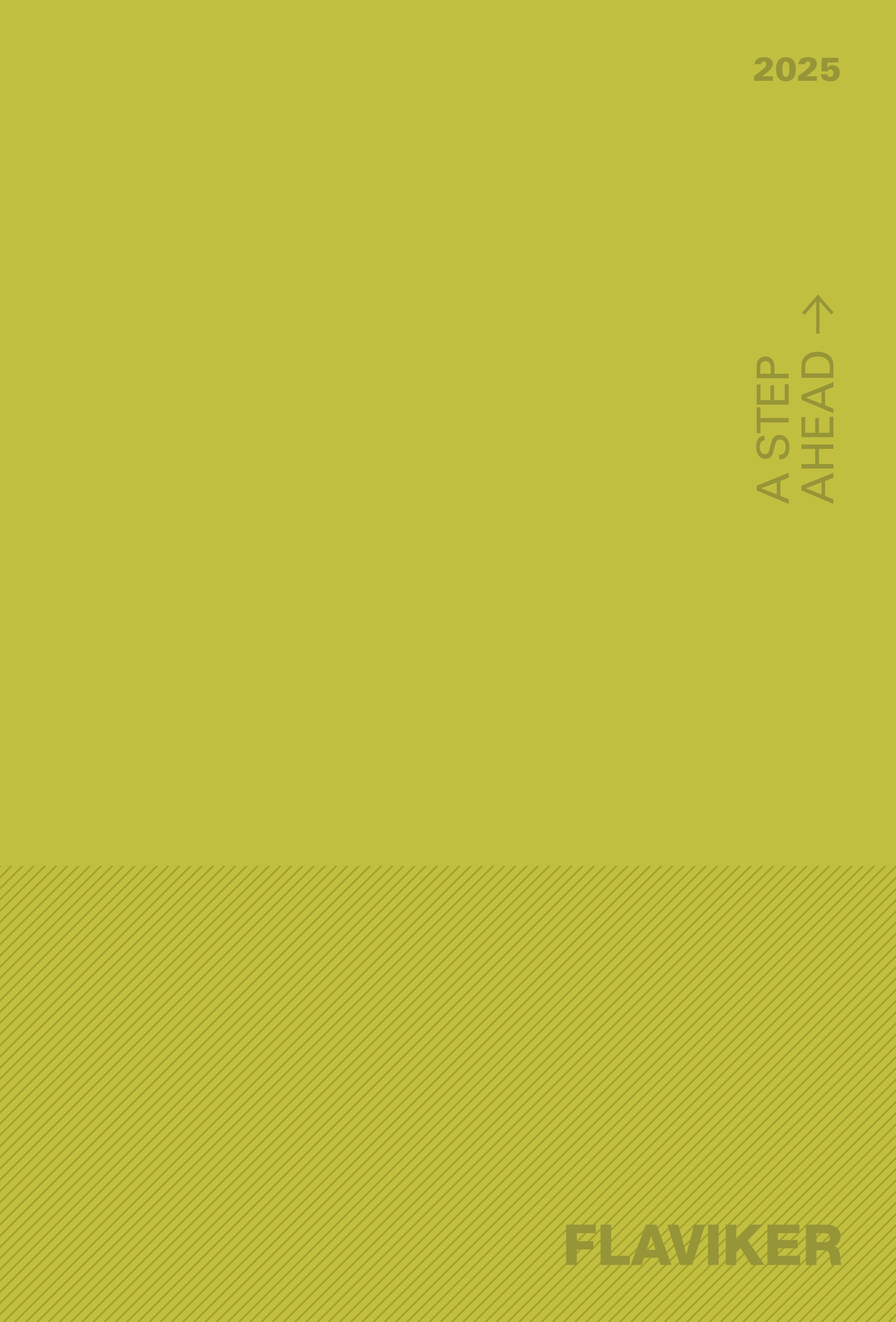 FLAVIKER-2025-smart-edition