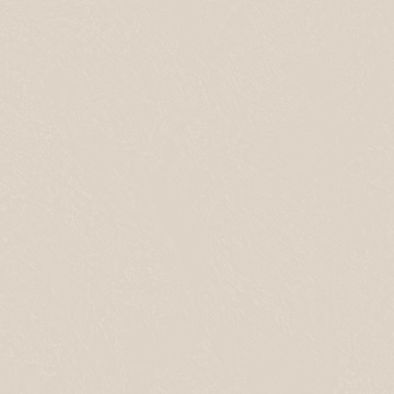 Le Malte 198034 - Beige, Naturale, 80x80cm, 8.80mm, Rectified