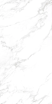 Statuario 83004 - Statuario, Naturale, 160x320cm, 6.00mm, Rectified