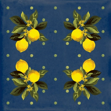 Vita Giardino CSAGBMXL20 - Blu Mix, Lucido, 20x20cm, 9.00mm, Rectified