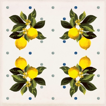 Vita Giardino CSAGIMXL20 - Bianco Mix, Lucido, 20x20cm, 9.00mm, Rectified