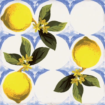 Vita Giardino CSAGBILU20 - Bianco, Lucido, 20x20cm, 9.00mm, Rectified