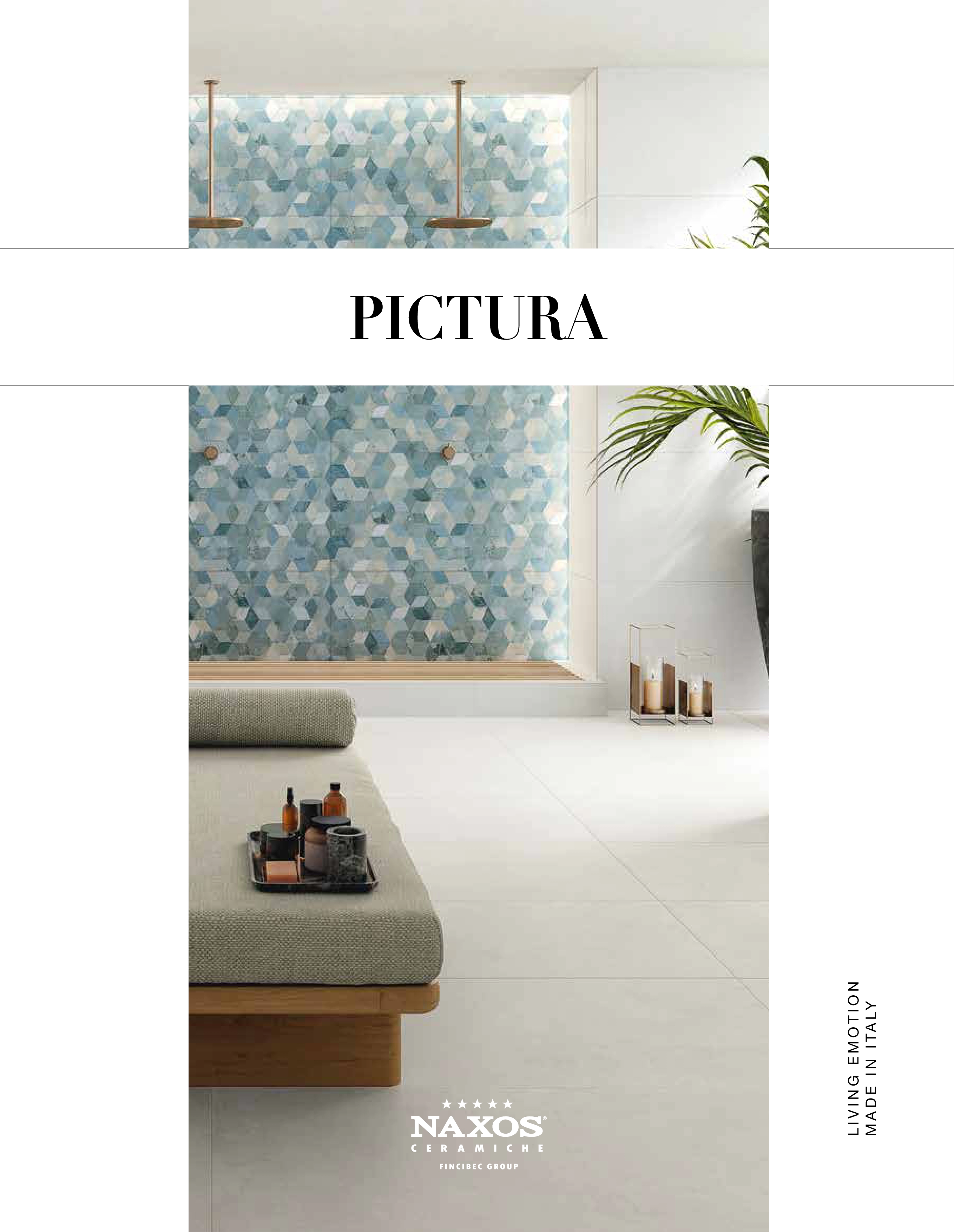 Pictura-1