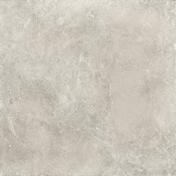 Sovereign SVN 10RT - Grigio Chiaro, Natural, 60x60cm, 9.00mm, Rectified