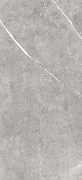 Arte MAARMA02126SI - Grey, Silk, 120x260cm, 6.00mm, Rectified