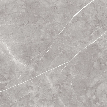Arte MAARMA0260P - Grey, Polished, 60x60cm, 9.00mm, Rectified