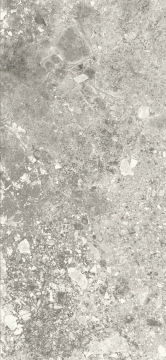 Ceppo - Grey, Matt, 120x260cm, 6.00mm, Rectified