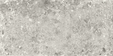 Ceppo - Grey, Matt, 60x120cm, 9.00mm, Rectified
