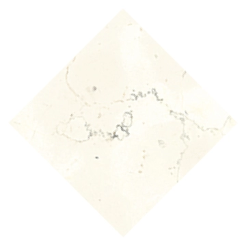 Classica MACLBAOD4 - Bianco Di Asiago, Matt, 4.6x4.6cm, 10.00mm, not-rectified