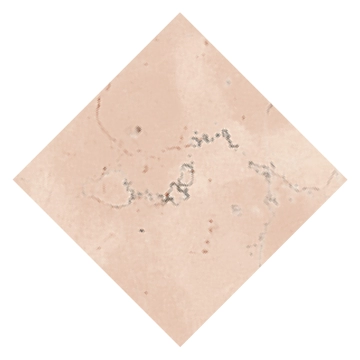 Classica MACLRPOD4 - Rosa Perlino, Matt, 4.6x4.6cm, 10.00mm, not-rectified