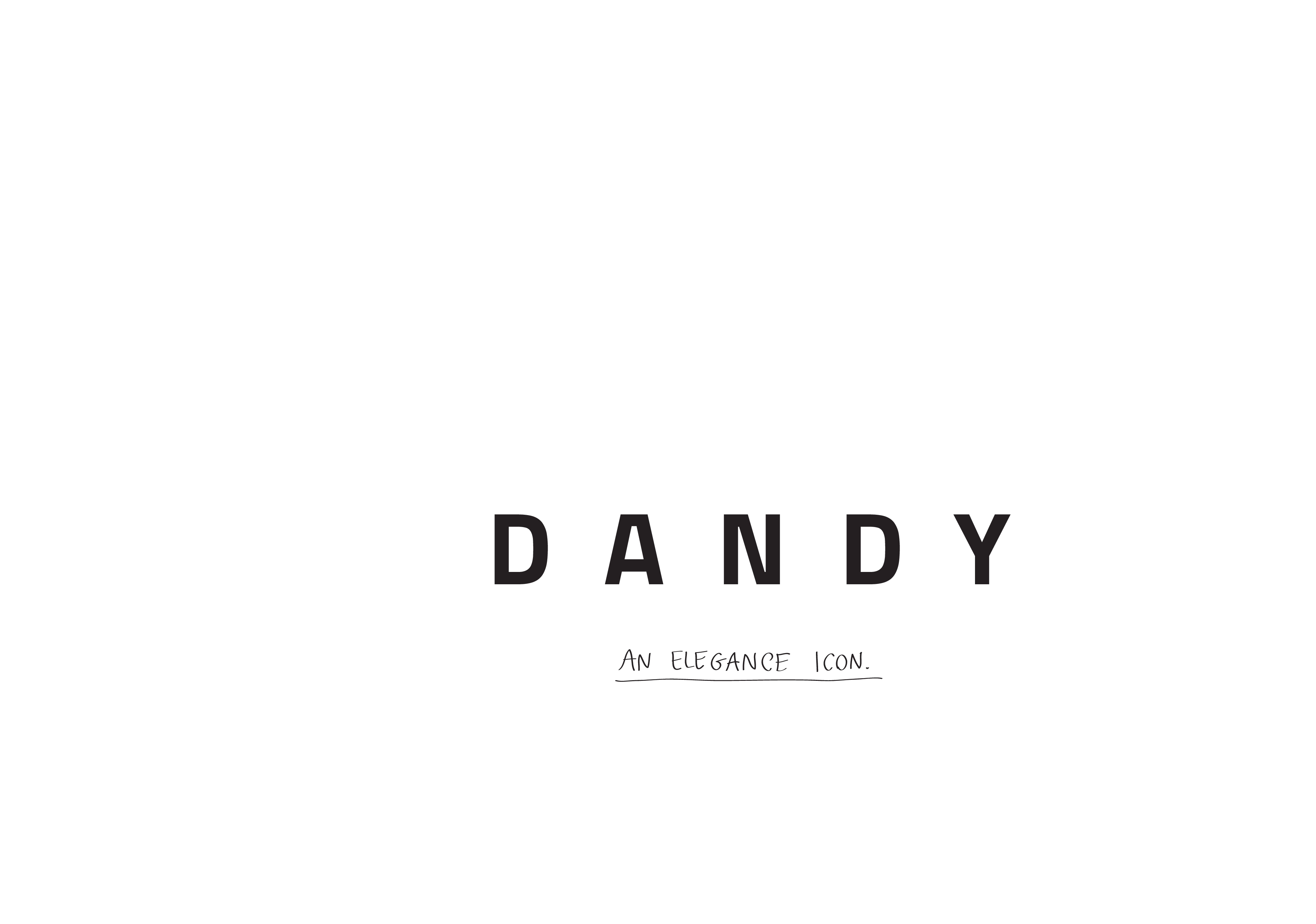 41zero42_DANDY_CATALOGUE