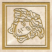 Meteorite Tozzetto Medusa G0047295 - Miele/oro, Lappato, 9.8x9.8cm, 9.50mm, Rectified