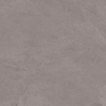 Concept B2566CT4PAAX - Grey, Soft shiny, 60x60cm, 8.50mm, Not rectified