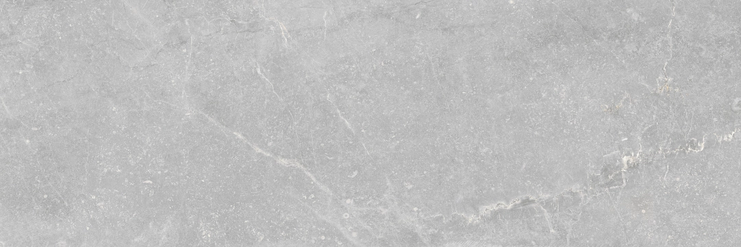 Bleuemix 20039151 - Grey, Natural, 40x120cm, 10.00mm, Rectified