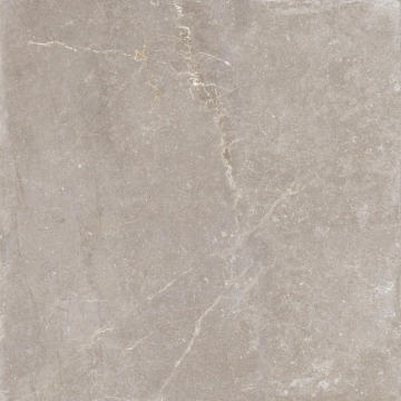 Bleuemix 20039336 - Taupe, Natural, 60x60cm, 10.00mm, Rectified