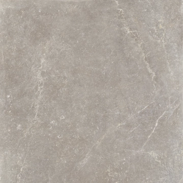Bleuemix 20041339 - Taupe, Natural, 120x120cm, 10.00mm, Rectified