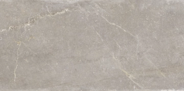 Bleuemix 20038868 - Taupe, Natural, 60x120cm, 10.00mm, Rectified