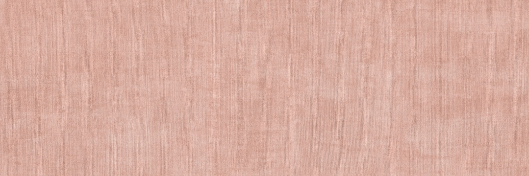Tapiz 20038337 - Terracota, Natural, 30x90cm, 10.00mm, Rectified
