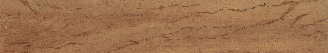 Fs Forest 39699 - Natural, Natural, 2.87x17.72