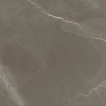 Venecia 1804 - Gris, Polished, 98x98cm, 10.00mm, Rectified