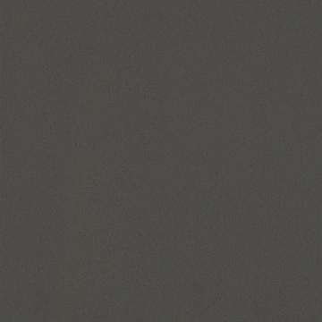 Made 2.0 M2SMOKEMAT120/1 - Smoke, Mat, 120x120cm, 12.00mm, Rectified