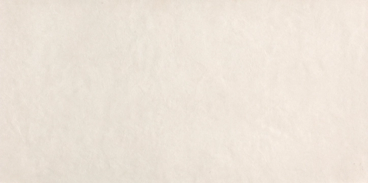 Sheer fPA8 - White, Matt, 80x160cm, 8.50mm, Rectified