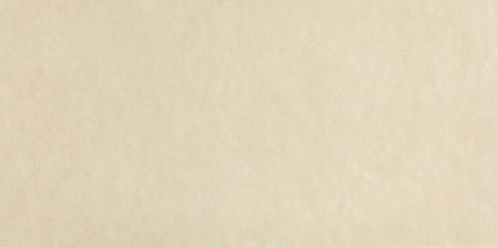 Sheer fPA5 - Beige, Matt, 80x160cm, 8.50mm, Rectified