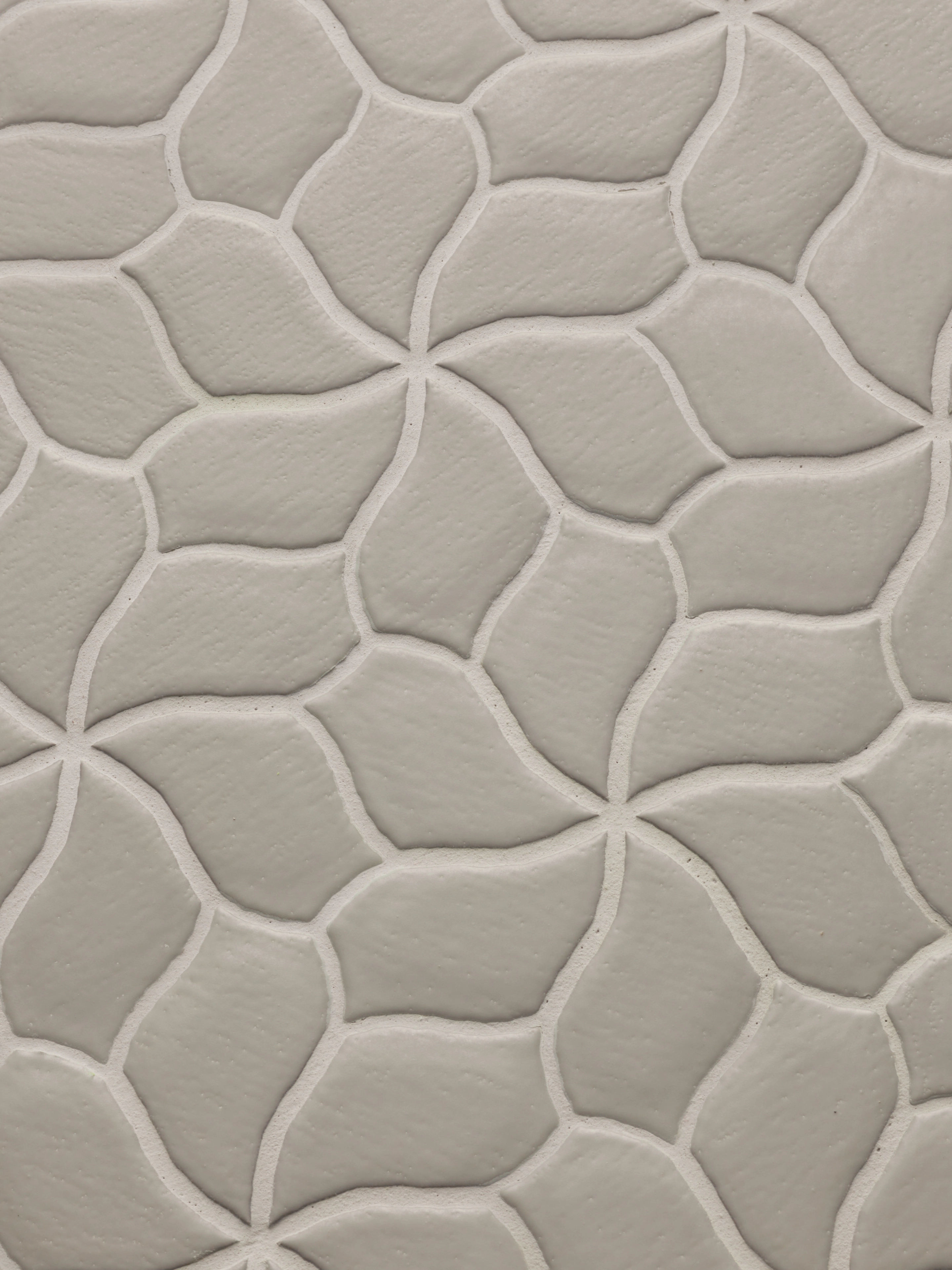 Mutina Botanica