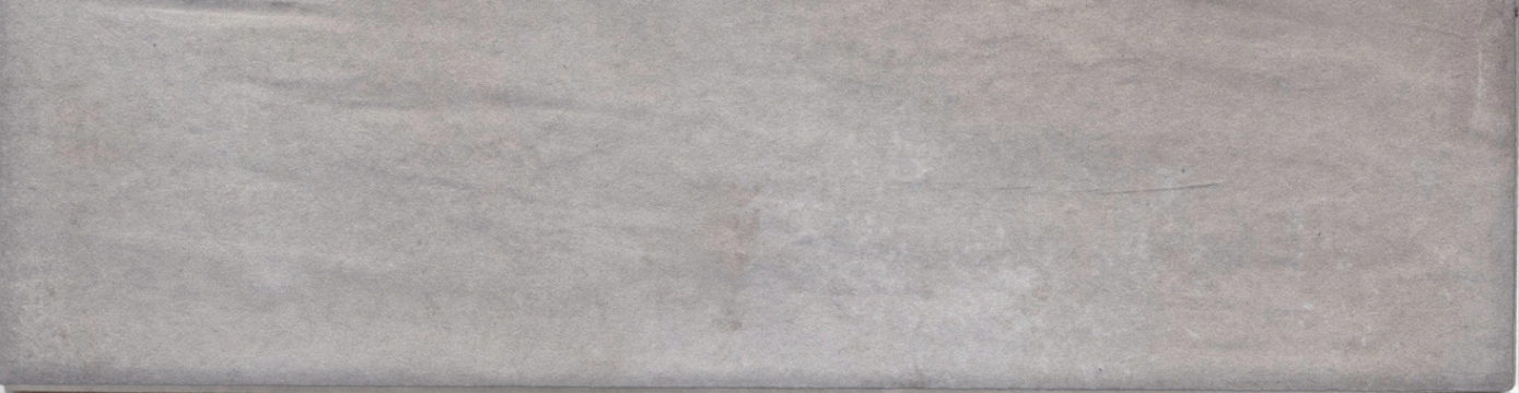 Garfagnana 625KSERC - Serchio, Matt, 6.5x25cm, 9.00mm, Rectified
