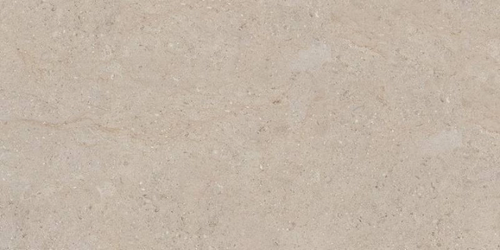 Hudson 224208 - Beige, Matt, 59.5x119.2cm, 9.20mm, Rectified