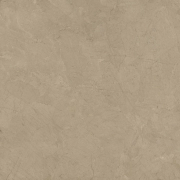 Mindwalk P011006 - Beige, Naturale, 120x120cm, 8.50mm, Rectified