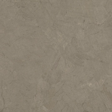 Mindwalk P011022 - Taupe, Naturale, 60x60cm, 8.50mm, Rectified