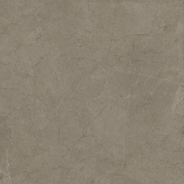 Mindwalk P011007 - Taupe, Naturale, 120x120cm, 8.50mm, Rectified