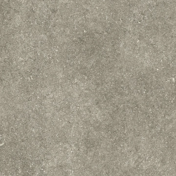 Le Reverse RS048 - Taupe Elegance, Lappato, 80x80cm, 10.00mm, Rectified