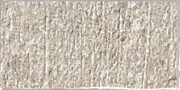 Terra Crea TE108 - Corda, Spakko, 7.5x15cm, 9.00mm, Not rectified