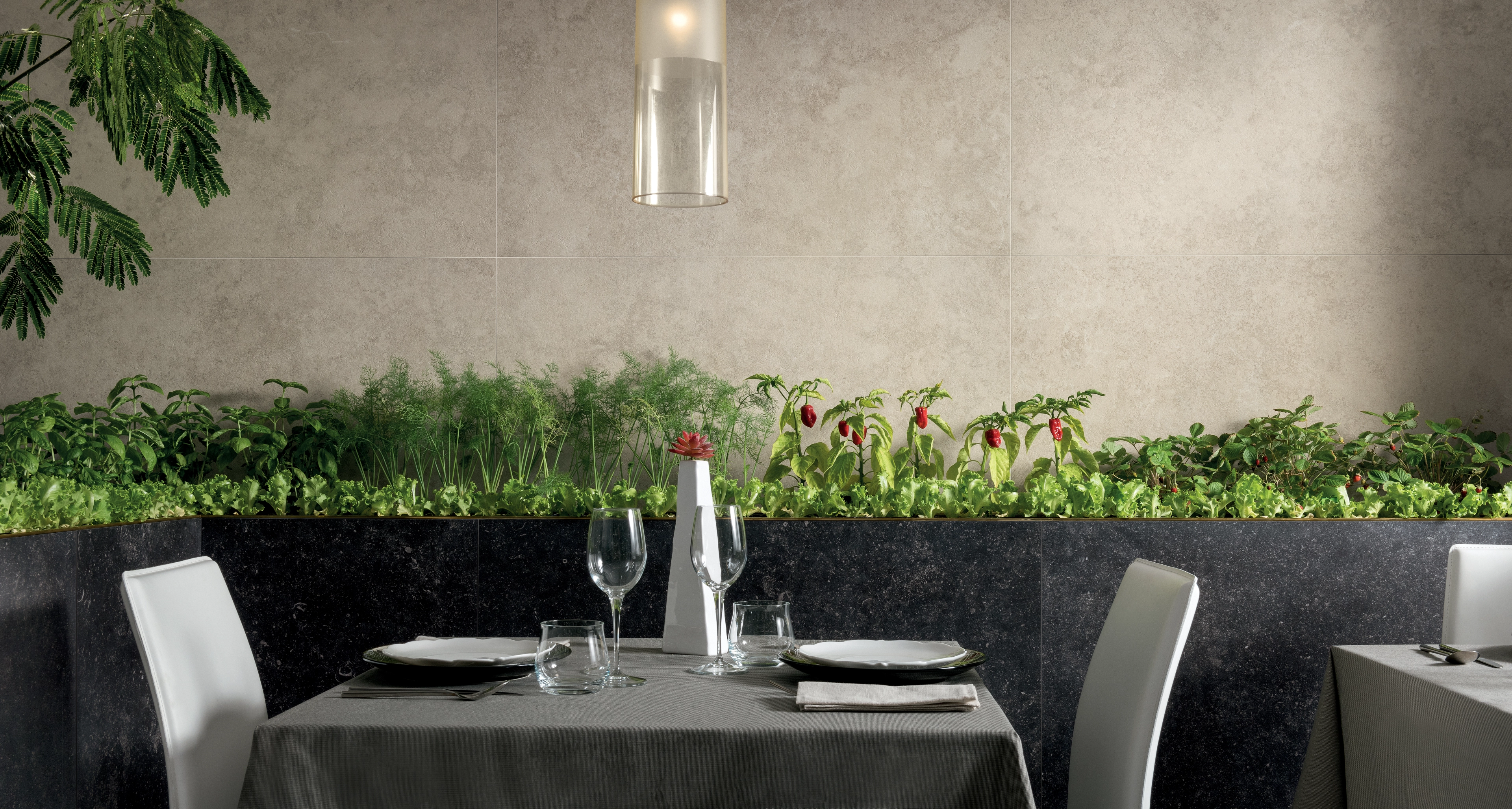 Gardenia Orchidea Origini, Stone