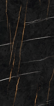 Gardenia Slabs PF60011978 - Sahara Noir B, Soft, 163.5x323cm, 12.00mm, not-rectified