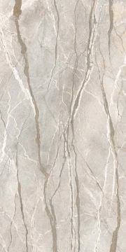Gardenia Slabs PF60017218 - Silver Roots, Soft 3d, 163.5x323cm, 20.00mm, not-rectified