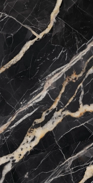 Gardenia Slabs PF60012171 - Golden Carbon B, Lux, 163.5x323cm, 12.00mm, not-rectified