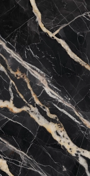 Gardenia Slabs PF60011988 - Golden Carbon A, Soft, 163.5x323cm, 12.00mm, not-rectified