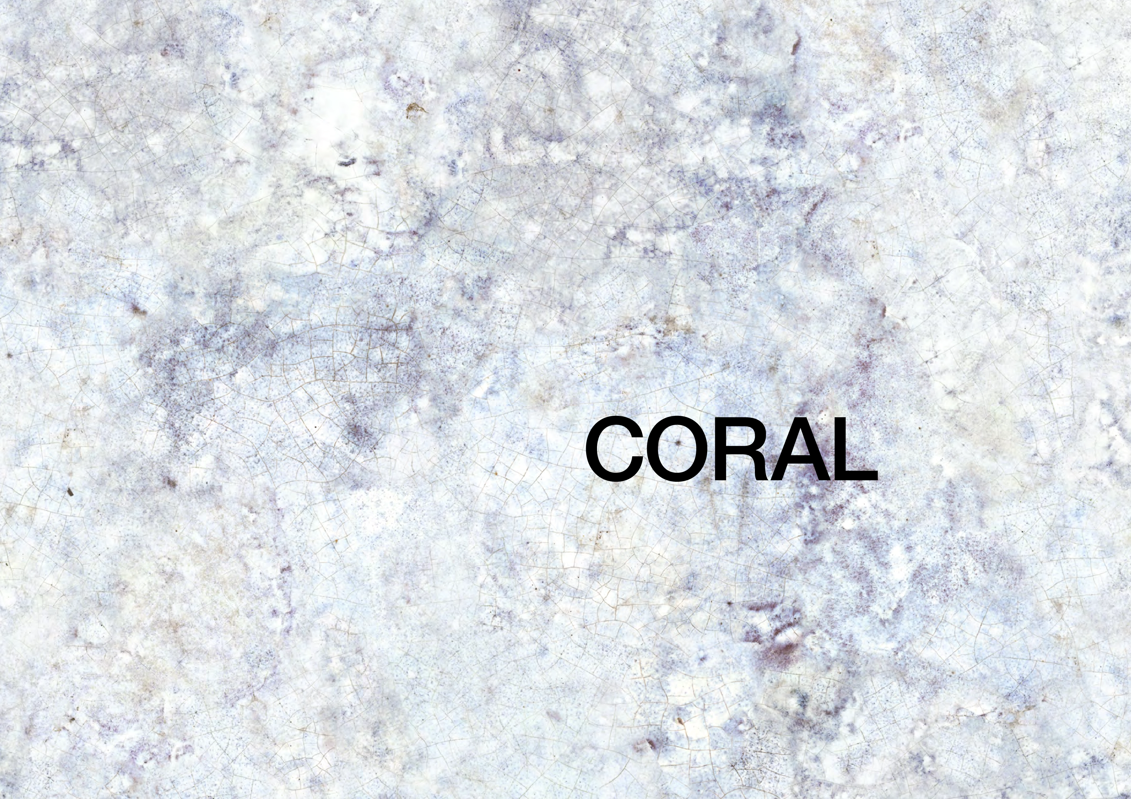 folleto-CORAL