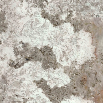 Patagonia 8431940405976 - Grey, Polished, 99.55x99.55cm, 7.00mm, Rectified