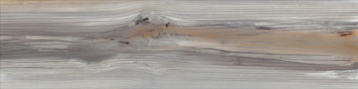 Echo 8431940405525 - Ash, Naturale, 24.75x99.55cm, 10.00mm, Rectified