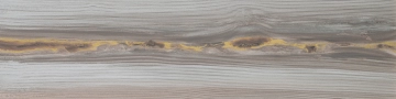 Echo 8431940405532 - Gold, Naturale, 24.75x99.55cm, 10.00mm, Rectified